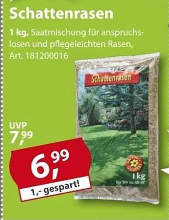 Schattenrasen 1 kg - Saatmischung für anspruchslose und pflegeleichte Rasen
