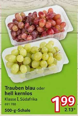 Trauben blau oder hell kernlos – Klasse I, Südafrika