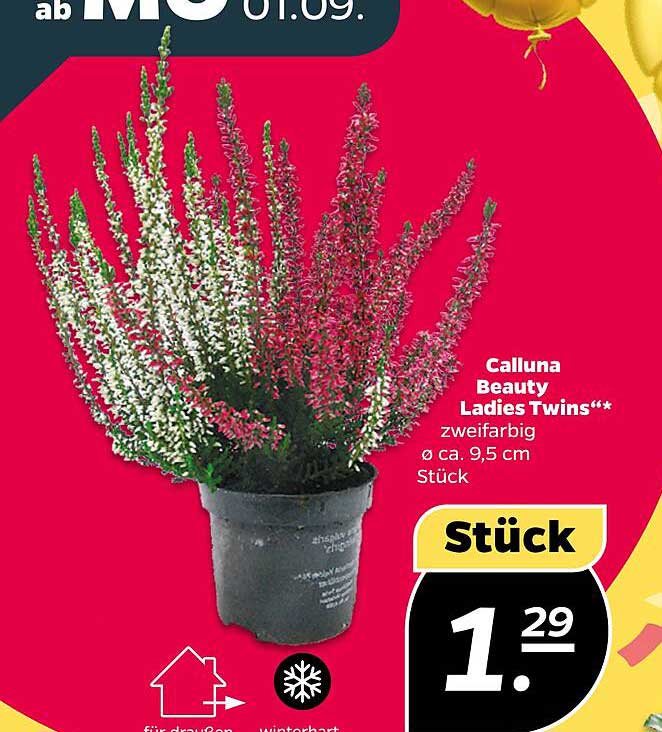 Calluna Beauty Ladies Twins – zweifarbig