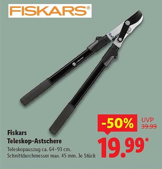 Fiskars Teleskop-Astscherer