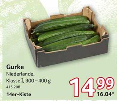 Gurke Klasse I, 300 – 400 g, 14er-Kiste