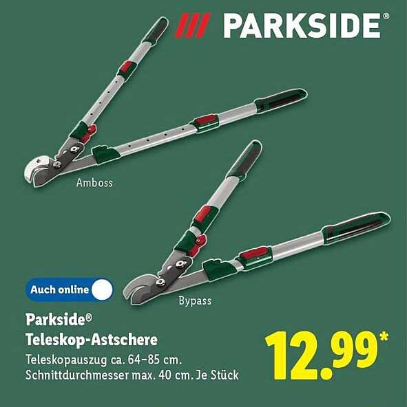Parkside® Teleskop-Astscher