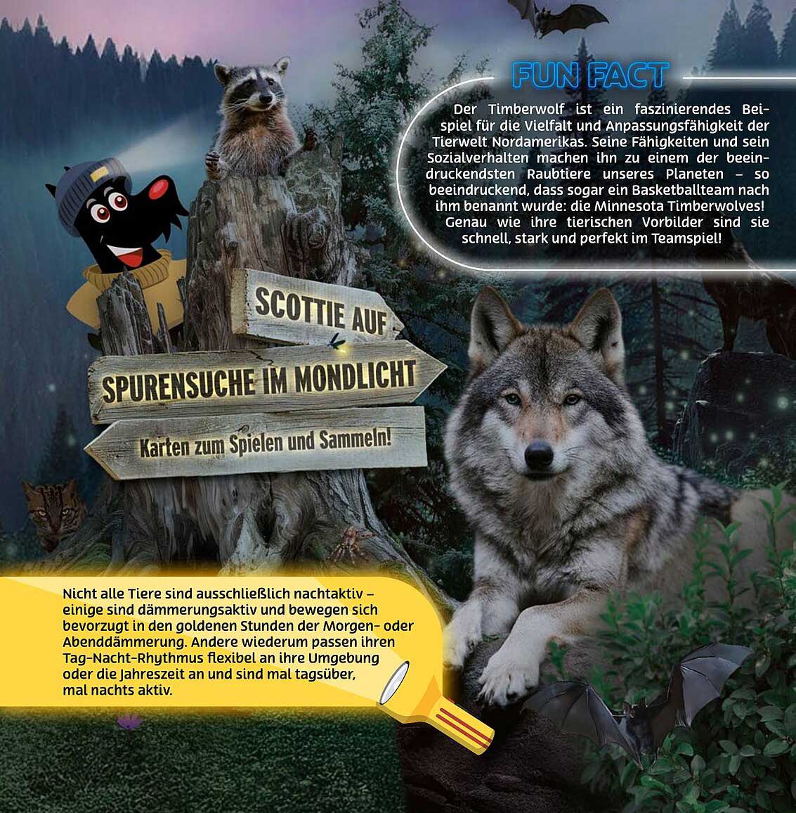 Scottie auf Spurensuche im Mondlicht - Karten zum Spielen und Sammeln!