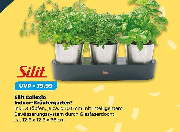 Silit Collexio Indoor-Kräutergarten