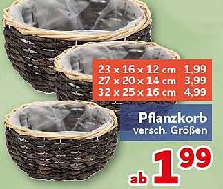 Pflanzkorb versch. Größen
