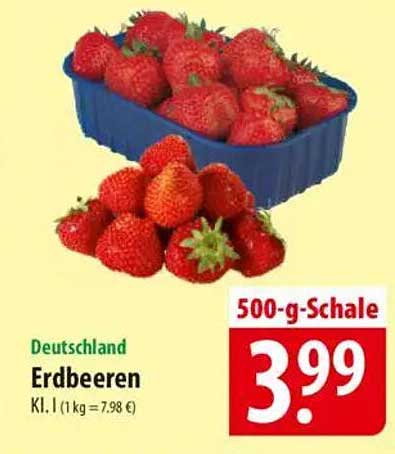 Erdbeeren 500-g-Schale