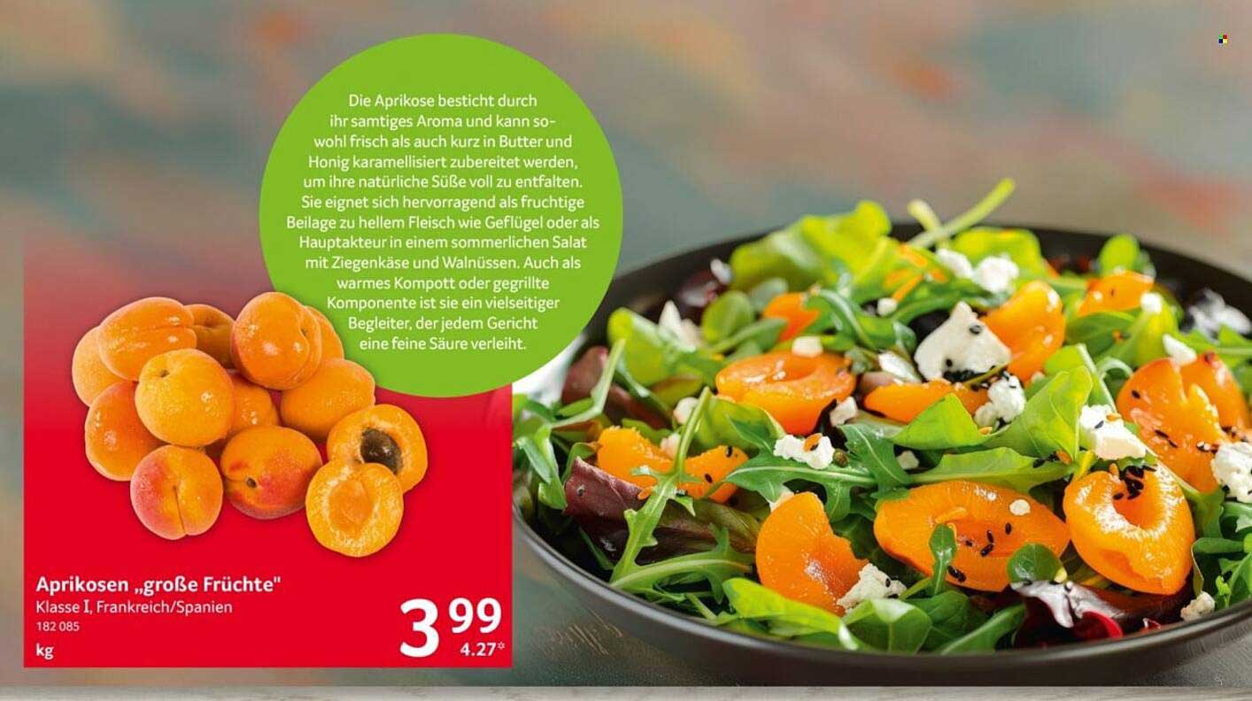 Aprikosen „große Früchte"
