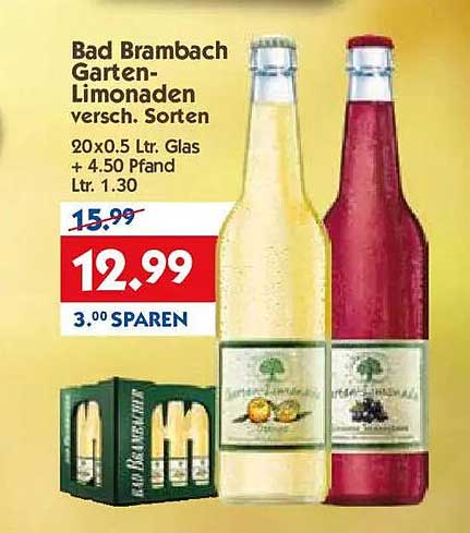 Bad Brambach Garten-Limonaden versch. Sorten