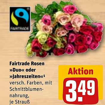 Fairtrade Rosen »Duo« oder »Jahreszeiten«-versch. Farben, mit Schnittblumennahrung, je Strauß