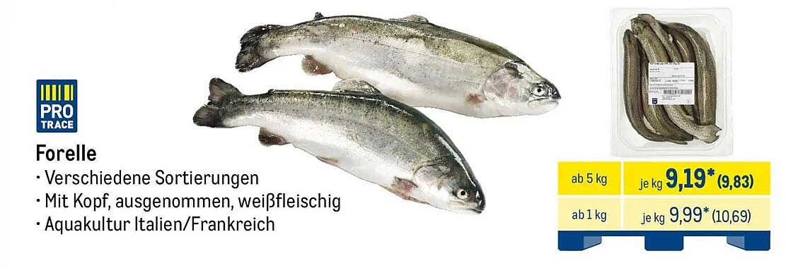 Forelle