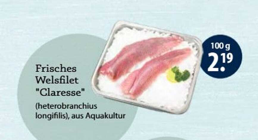 Frisches Welsfilet "Caresse" (heterobranchius longifilis), aus Aquakultur