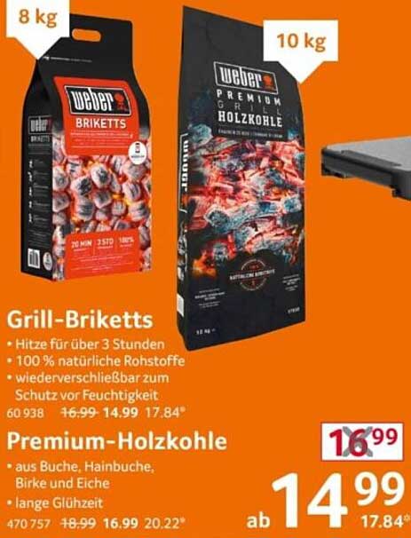Grill-Briketts