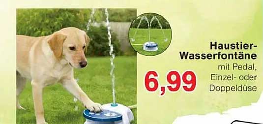 Haustier-Wasserfontäne mit Pedal, Einzel- oder Doppeldüse