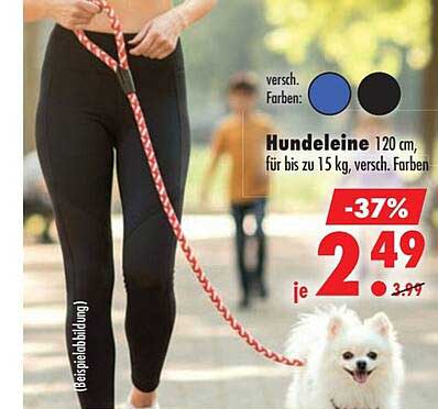 Hundeleine 120 cm, für bis zu 15 kg, versch. Farben