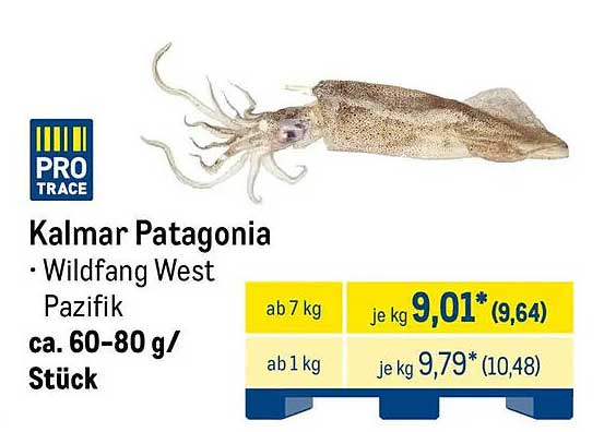 Kalmar Patagonia • Wildfang West Pazifik ca. 60-80 g/Stück