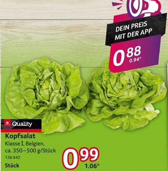 Kopfsalat