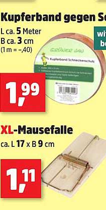 Kupferband gegen Schnecken