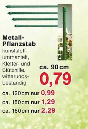 Metall-Pflanzstab