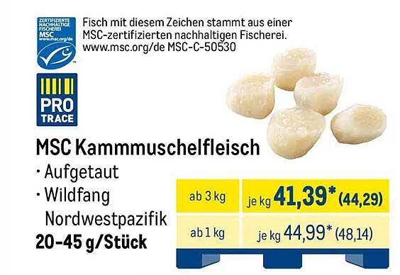 MSC Kammmuschelfleisch