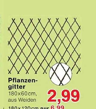 Pflanzen-gitter 180x60cm, aus Weiden