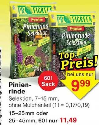 Pinienrinde Selektion