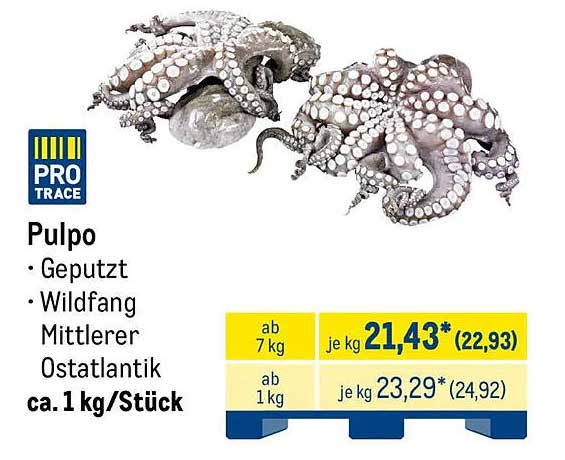 Pulpo