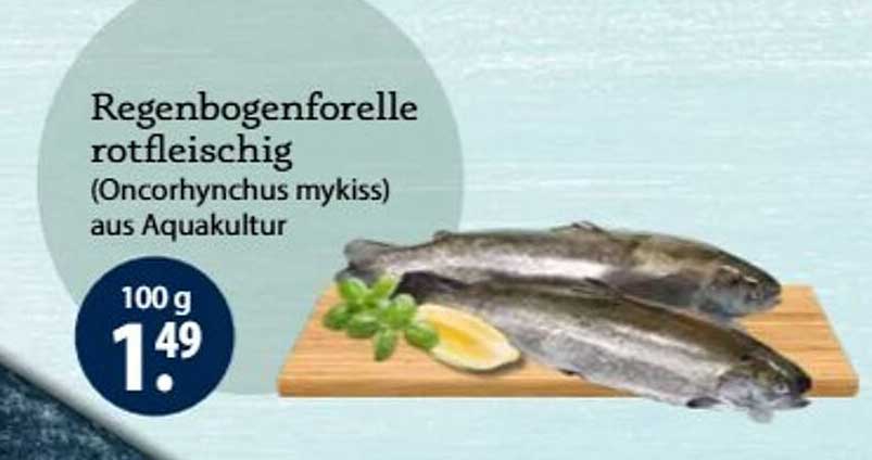Regenbogenforelle rotfleischig (Oncorhynchus mykiss) aus Aquakultur