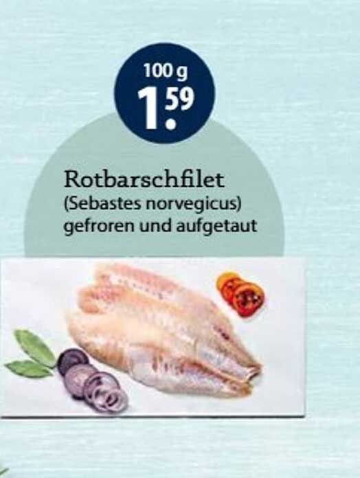 Rotbarschfilet (Sebastes norvegicus) gefroren und aufgetaut