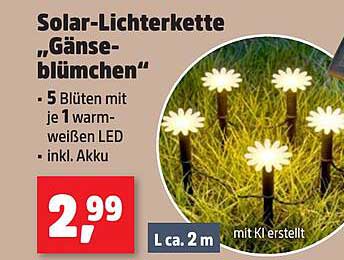 Solar-Lichterkette „Gänseblümchen“