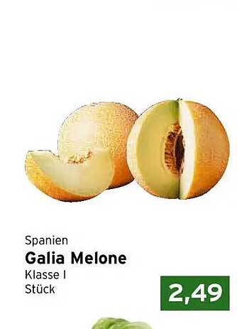 Spanien Galia Melone Klasse I Stück