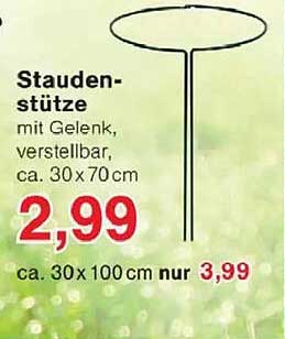 Stauden-stütze mit Gelenk, verstellbar, ca. 30 x 70cm