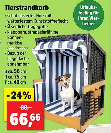 Tierstrandkorb