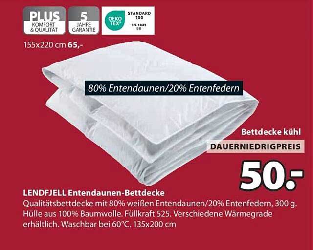 LENDFJELL Entendaunen-Bettdecke