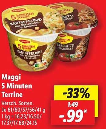 Maggi 5 Minuten Terrine