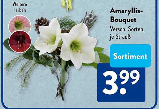 Amaryllis-Bouquet - Verschiedene Sorten, je Strauß