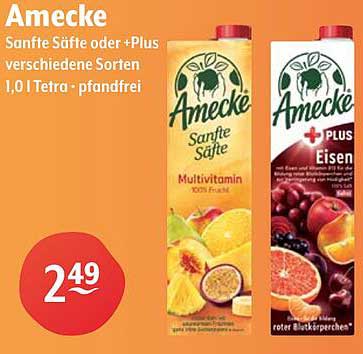 Amecke Sanfte Säfte oder +Plus verschiedene Sorten 1,0 l Tetra - pfandfrei