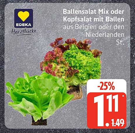 Ballensalat Mix oder Kopfsalat mit Ballen aus Belgien oder den Niederlanden