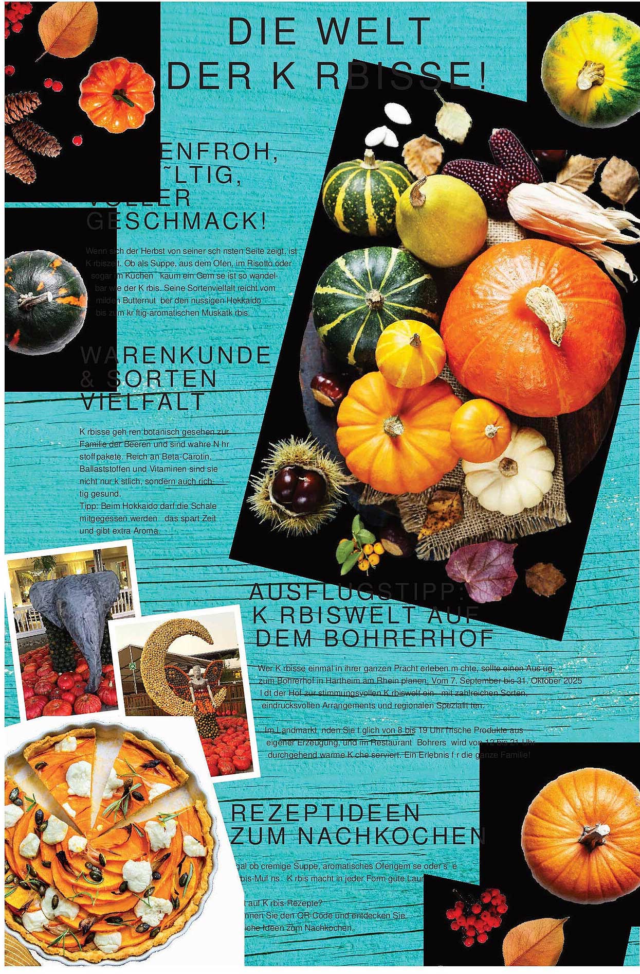 Die Welt der Kürbisse!