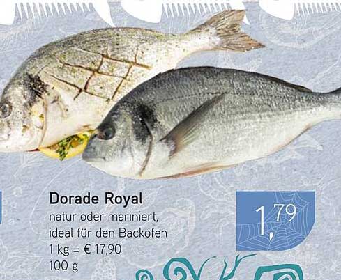 Dorade Royal - natur oder mariniert, ideal für den Backofen