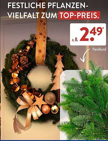 Festliche Pflanzenvielfalt zum Top-Preis