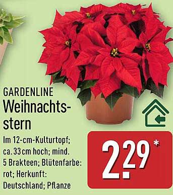 GARDENLINE Weihnachtsstern