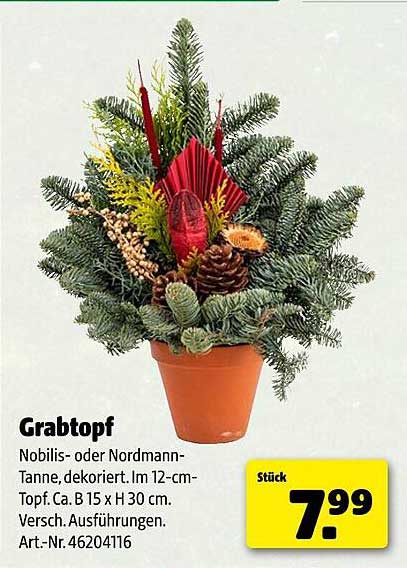 Grabtopf Nobilis- oder Nordmann-Tanne, dekoriert