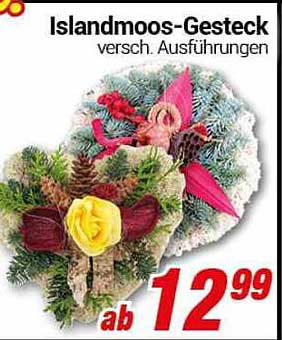 Islandmoos-Gesteck – verschiedenste Ausführungen