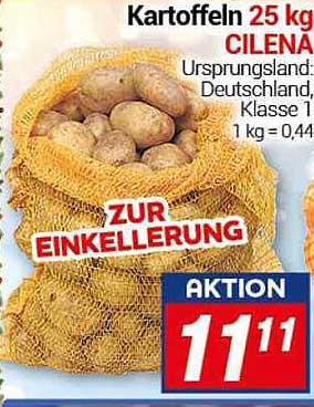 Kartoffeln 25 kg CILENA