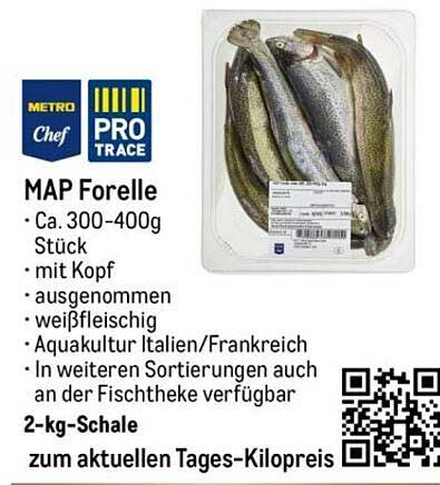MAP Forelle, ca. 300-400g Stück, 2-kg-Schale