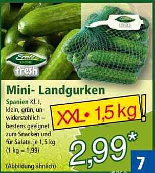 Mini-Landgurken, 1,5 kg - frisch und lecker