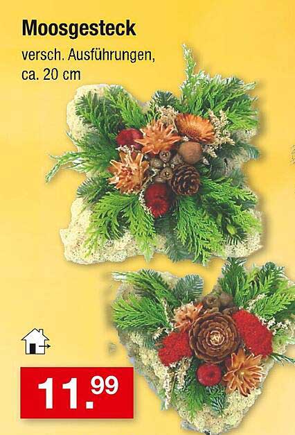 Moosgestück - verschiedene Ausführungen, ca. 20 cm