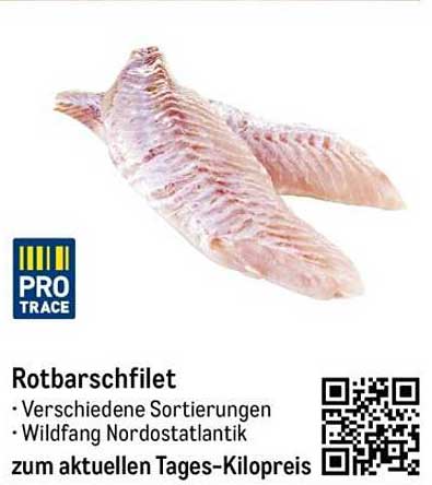 Rotbarschfilet – Verschiedene Sortierungen – Wildfang Nordostatlantik