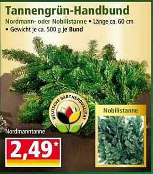 Tannengrün-Handbund – Nordmann- oder Nobilistanne