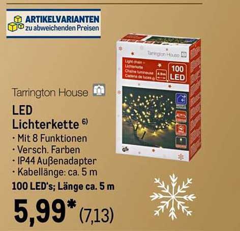Tarrington House LED Lichterkette, 100 LED's, 5 m